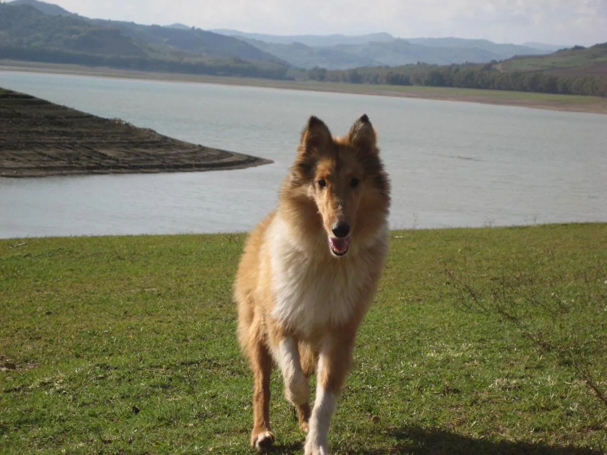 Oasi Del Lago Regalbuto 0*,